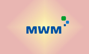 ✓ MWM 0337 5554 Запчасть MWM 